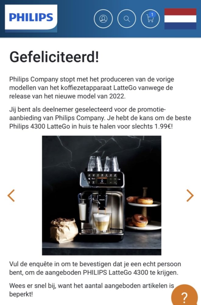 Voorbeeld fraude online advertentie 2 NEP